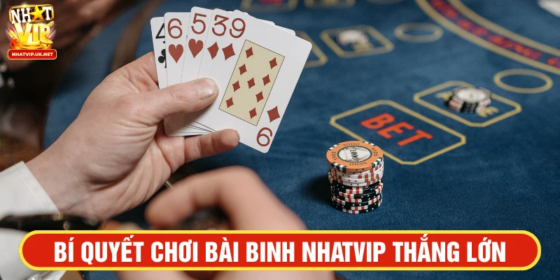 Bí quyết cá cược găm bài binh NHATVIP thắng lớn, thu về lợi nhuận khủng 