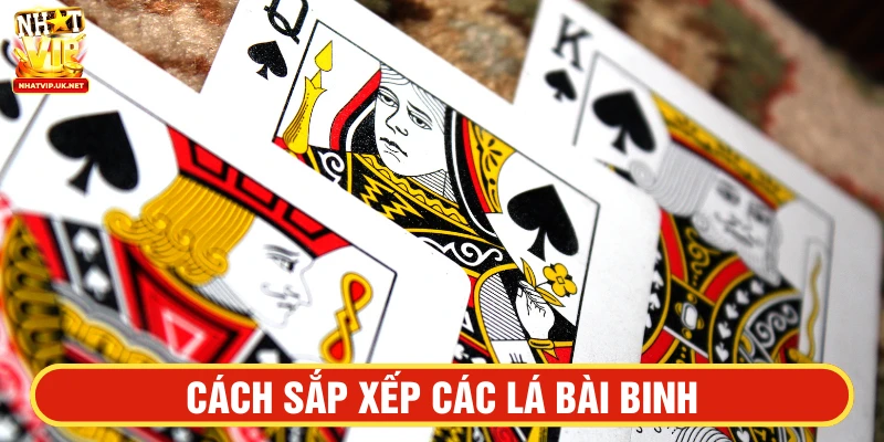 Hướng dẫn cách sắp xếp các lá bài binh chuẩn xác