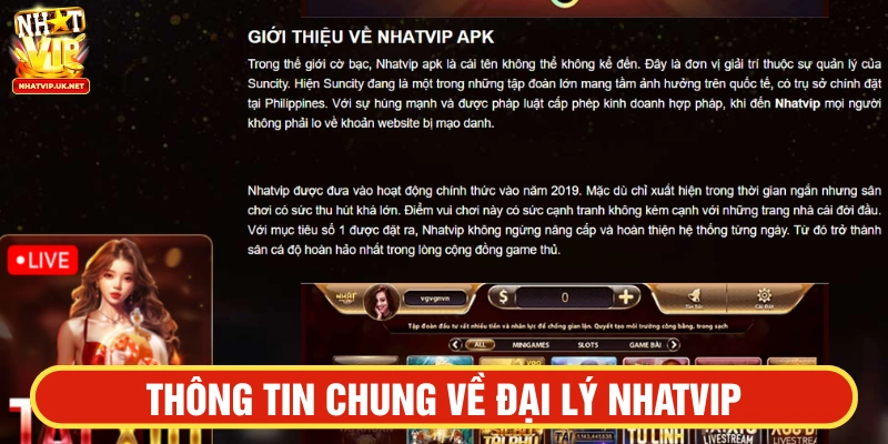 Tổng quan thông tin về chương trình người dùng cần nắm 