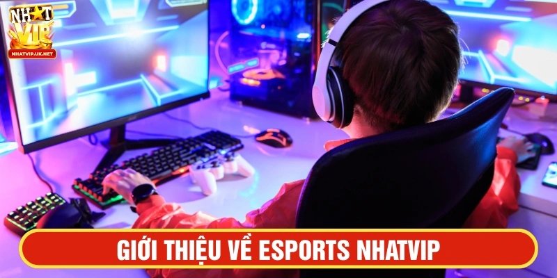 Esports NHATVIP nhận được nhiều đánh giá tích cực từ người chơi