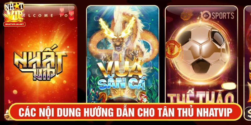 Các nội dung hướng dẫn cho tân thủ NHATVIP