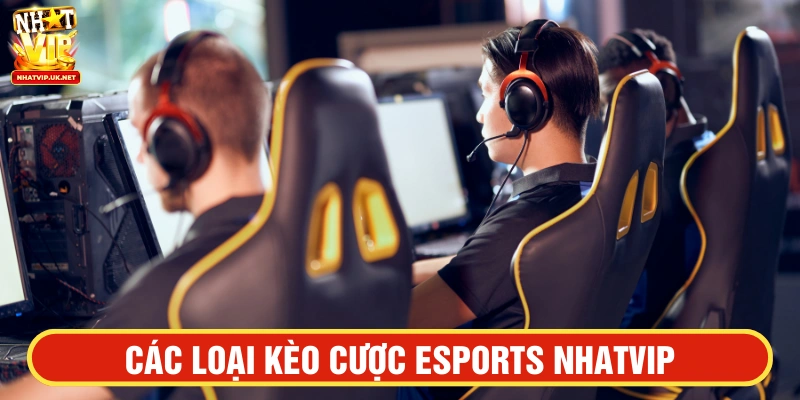 Bạn có thể tham khảo các loại kèo cược Esports tại đây