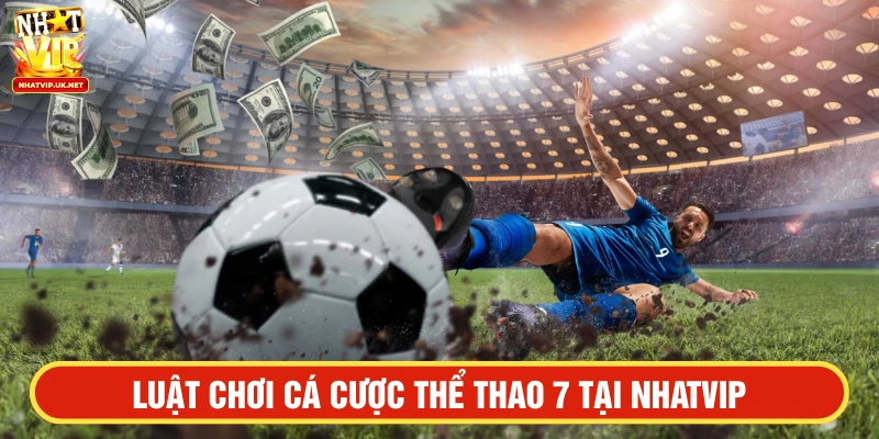 Giới thiệu về sảnh thể thao 7 tại NHATVIP