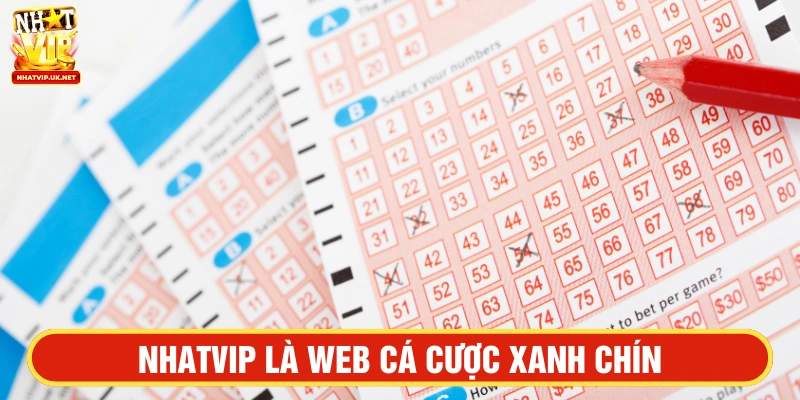 NHATVIP là website cá cược xanh chín được đánh giá cao 