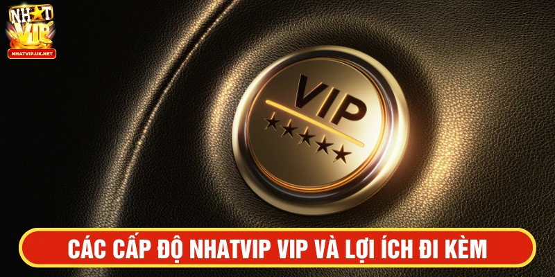 Mỗi cấp độ VIP đi kèm với những đặc quyền riêng