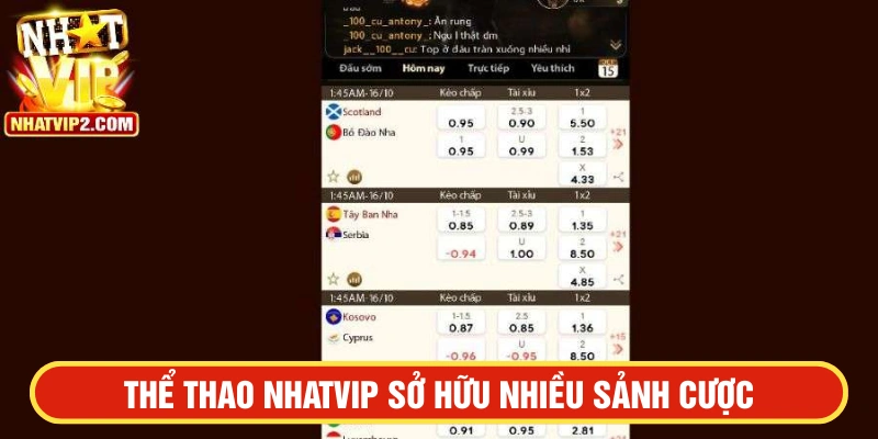 Sảnh cược Thể thao NHATVIP hợp tác với nhiều nhà cung cấp lớn 